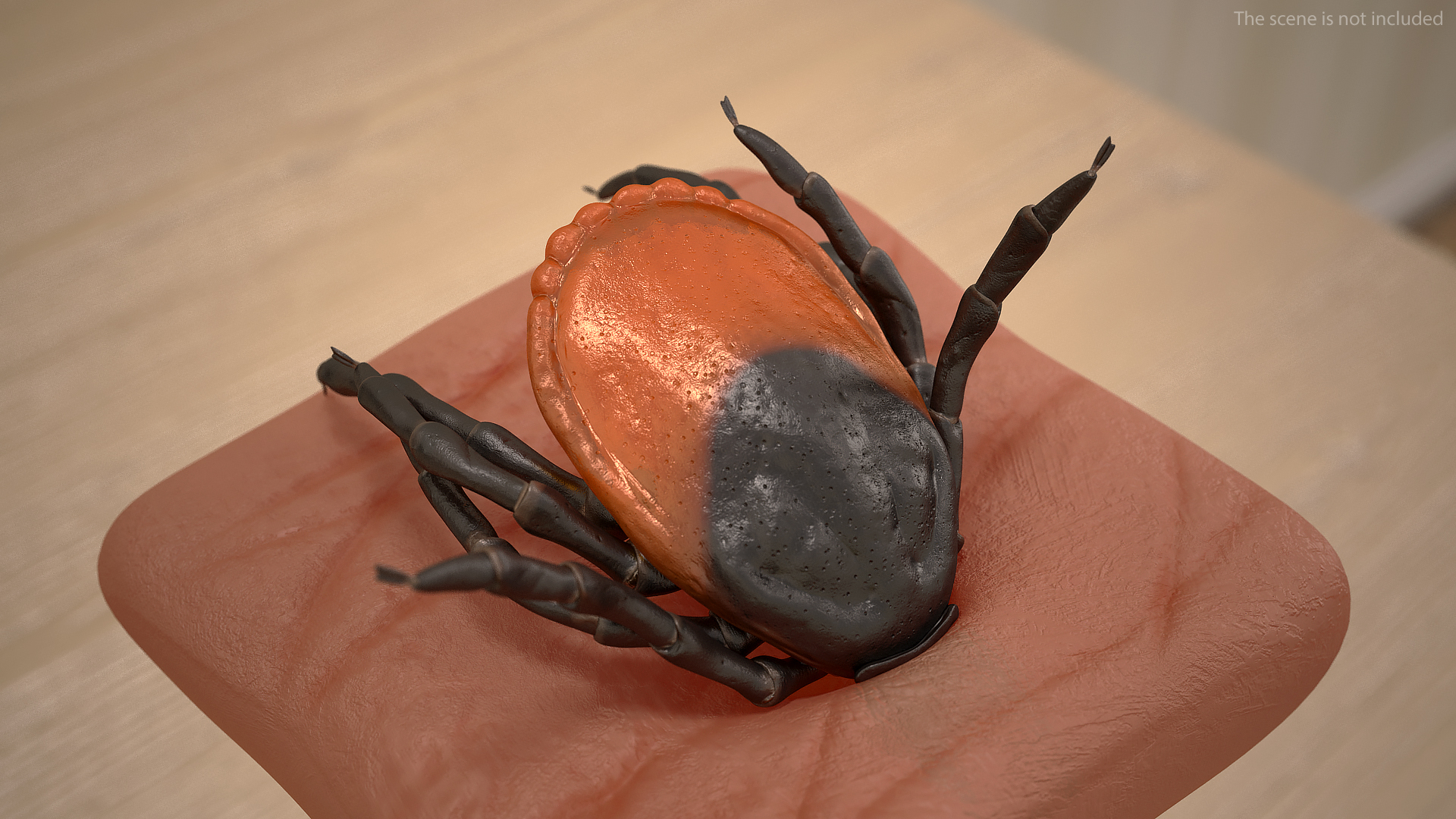 3D Tick Stuck in Skin model