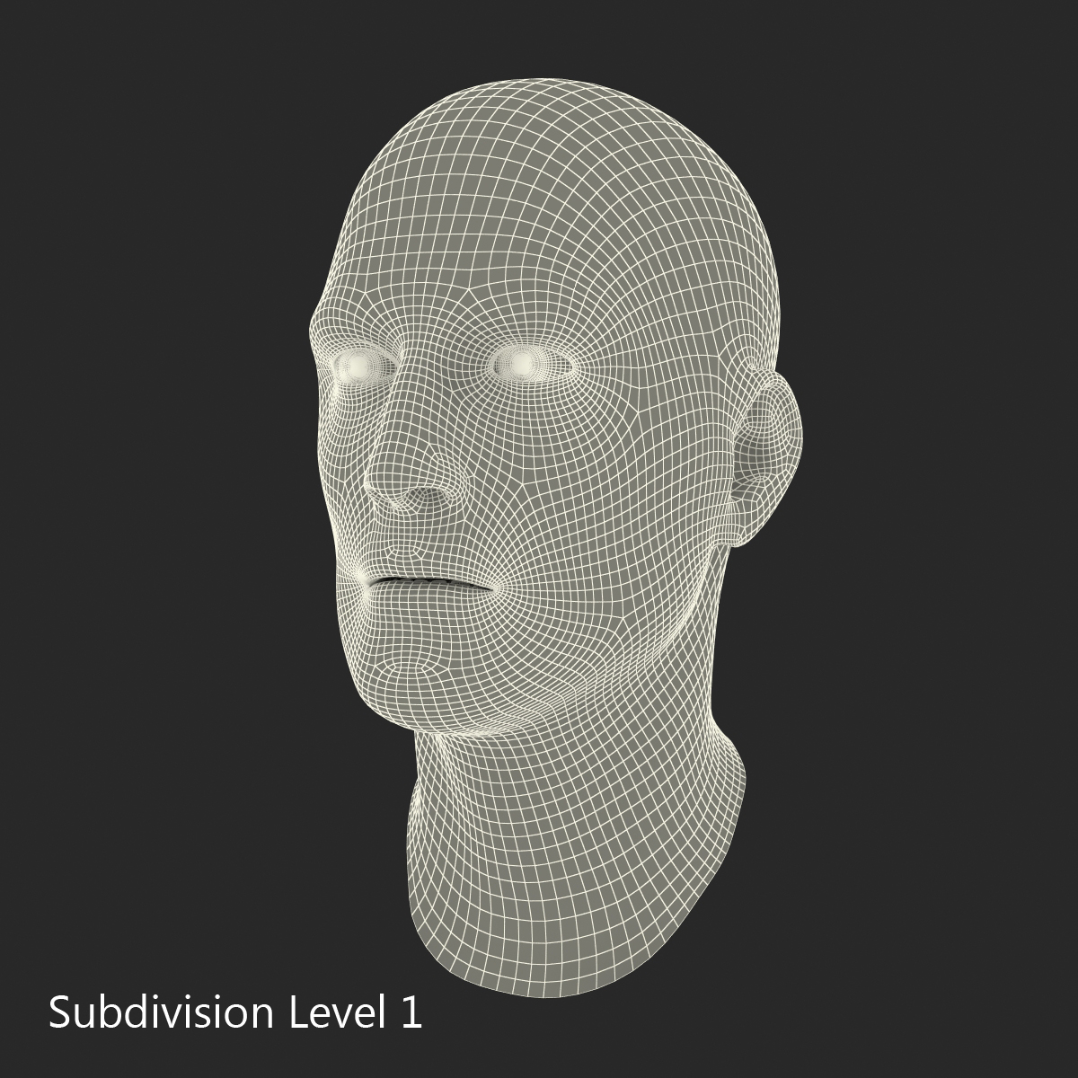 3D Male Head 6