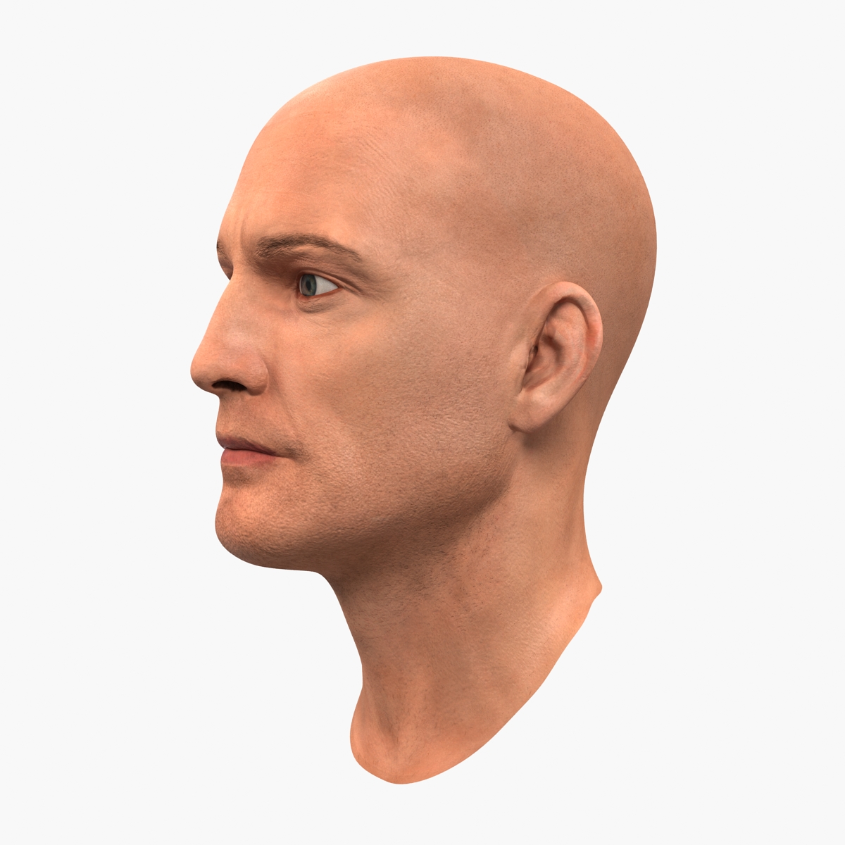 3D Male Head 6