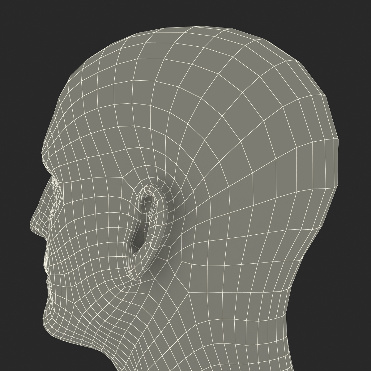 3D Male Head 6