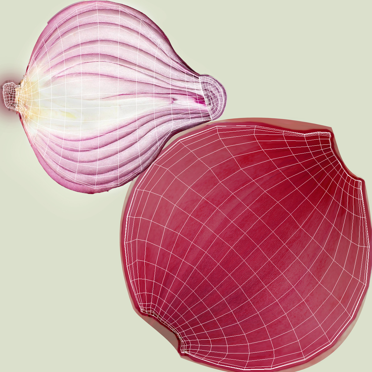 Red Onions Fur 3D model