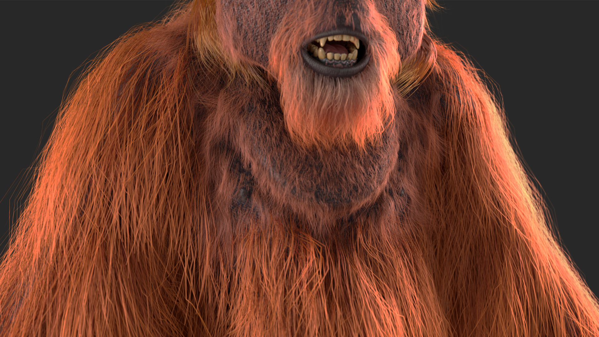 3D model Male Orangutan T-pose Fur