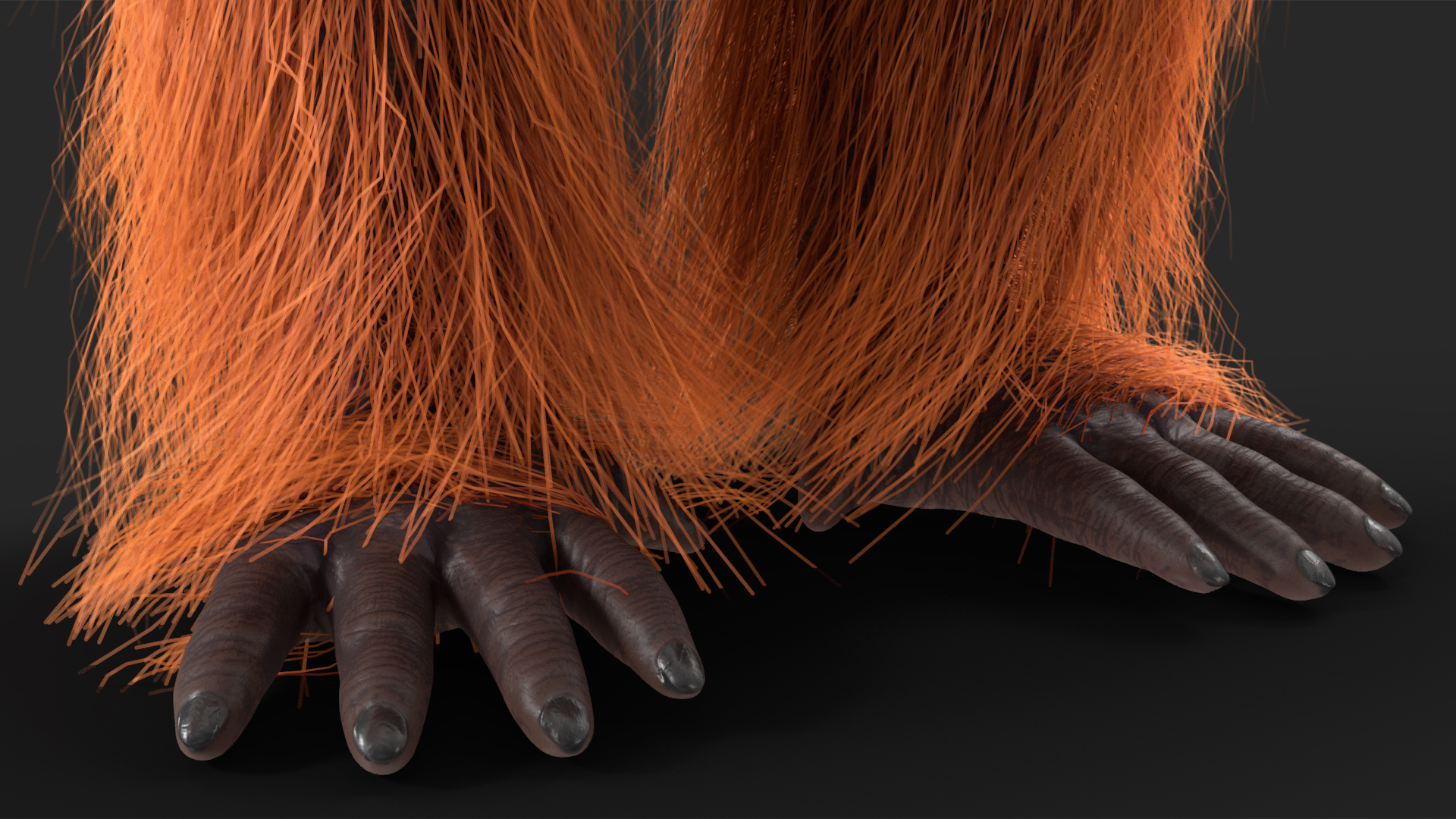 3D model Male Orangutan T-pose Fur