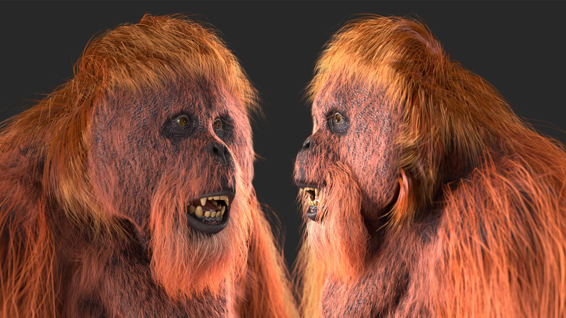 3D model Male Orangutan T-pose Fur