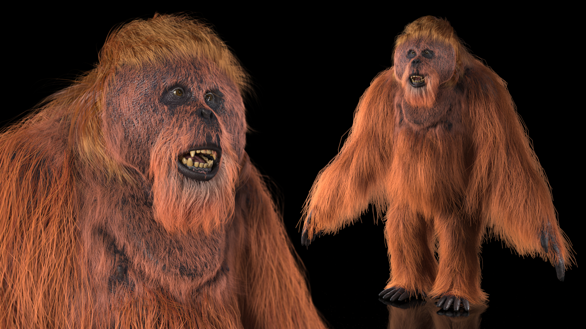 3D model Male Orangutan T-pose Fur