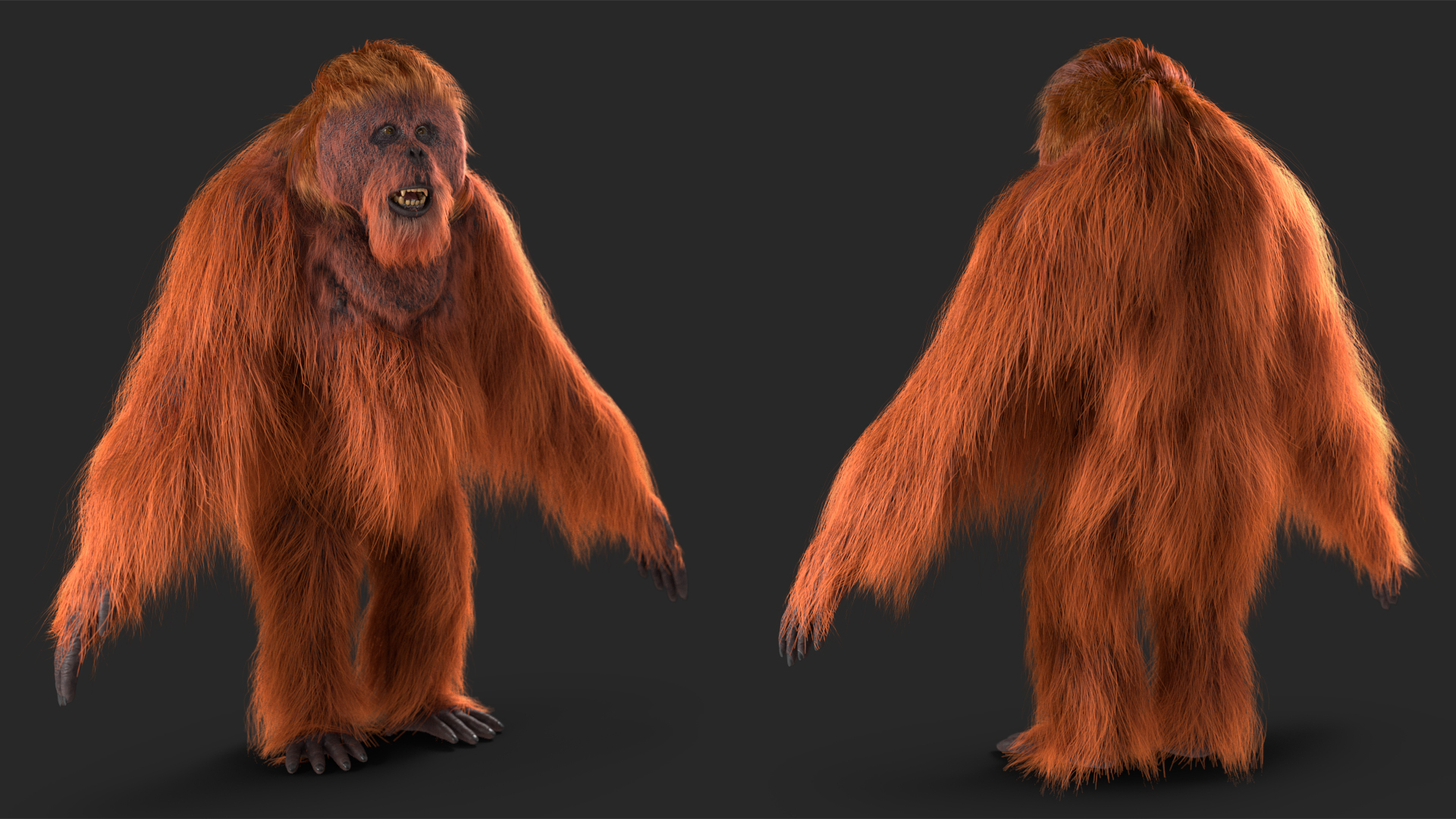 3D model Male Orangutan T-pose Fur