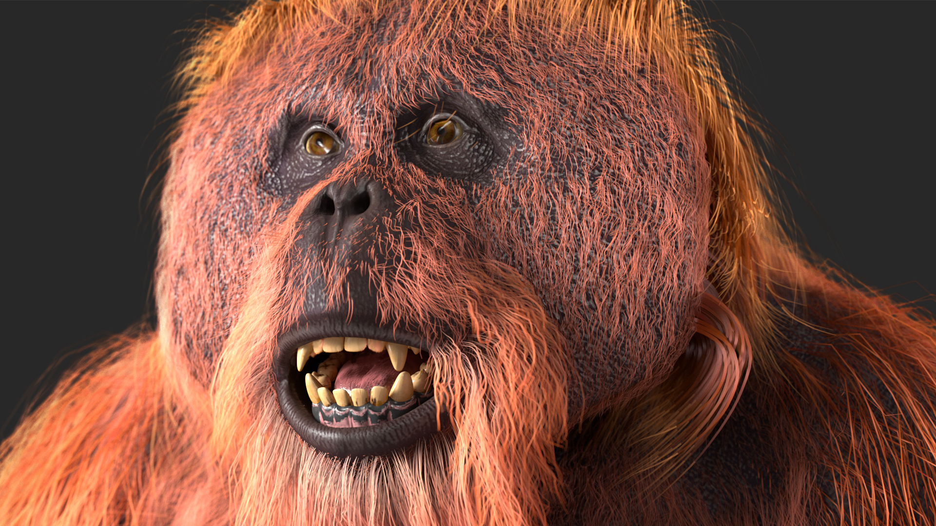 3D model Male Orangutan T-pose Fur