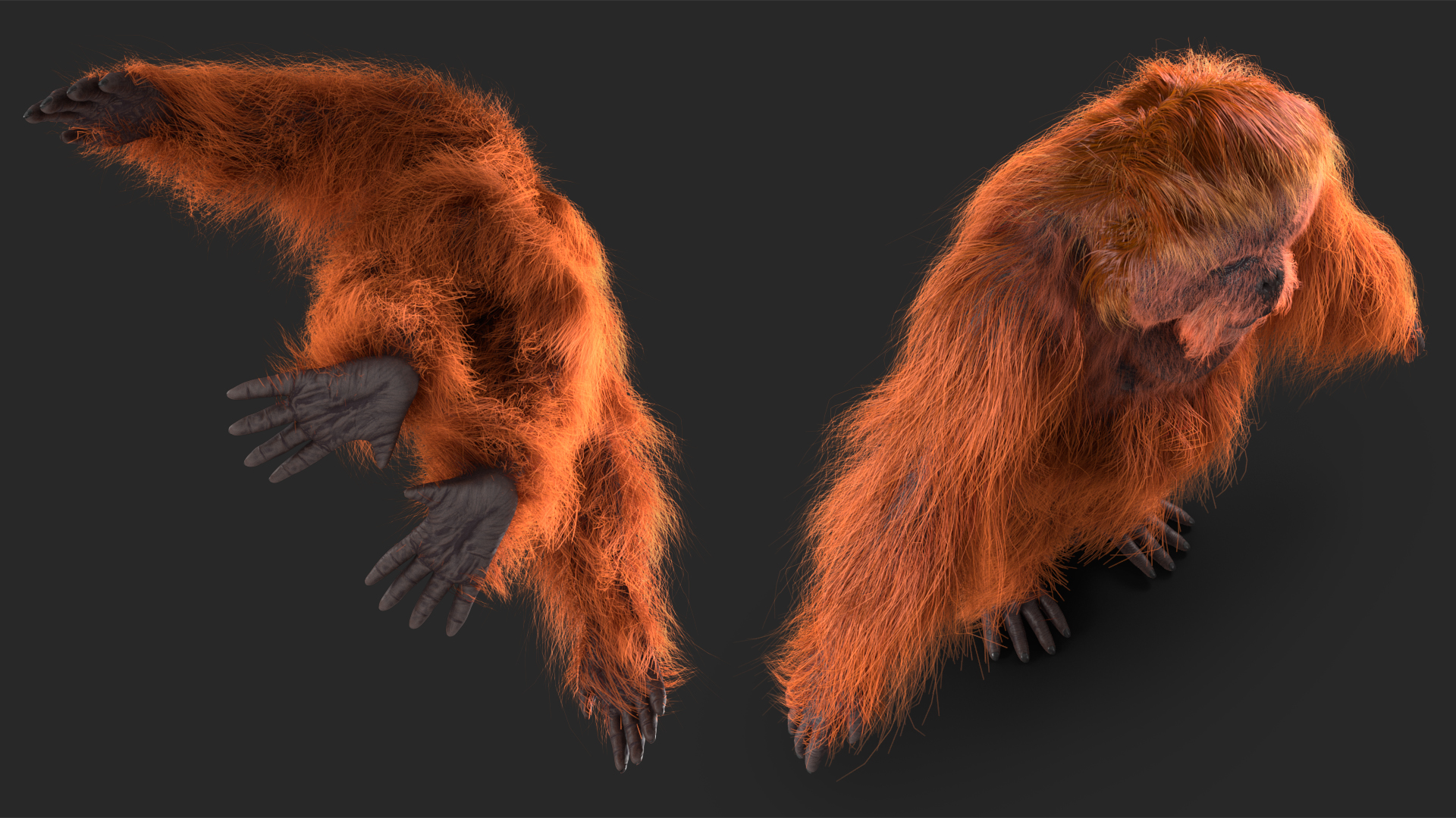 3D model Male Orangutan T-pose Fur