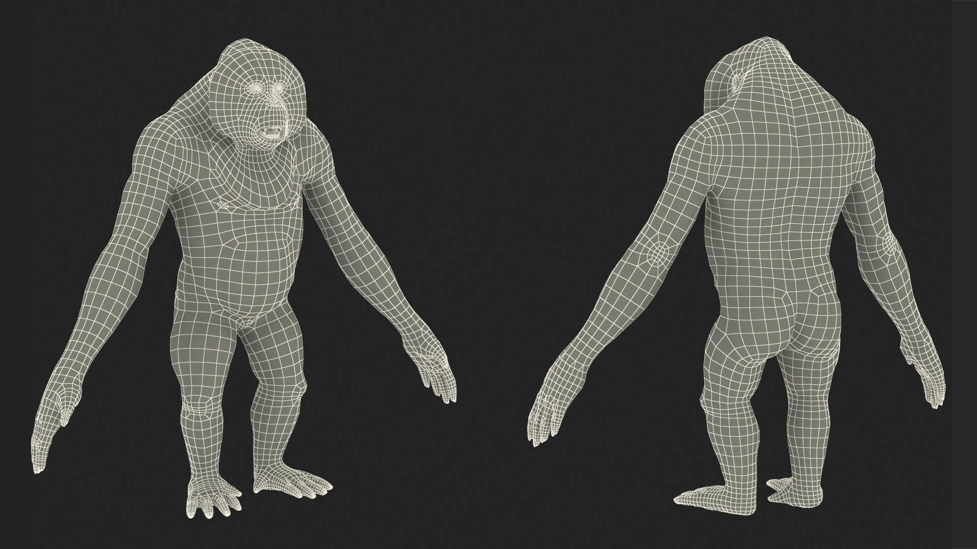 3D model Male Orangutan T-pose Fur