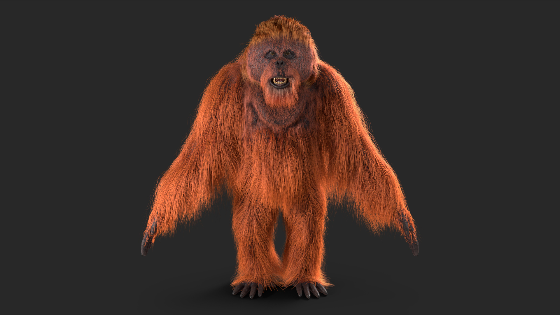 3D model Male Orangutan T-pose Fur