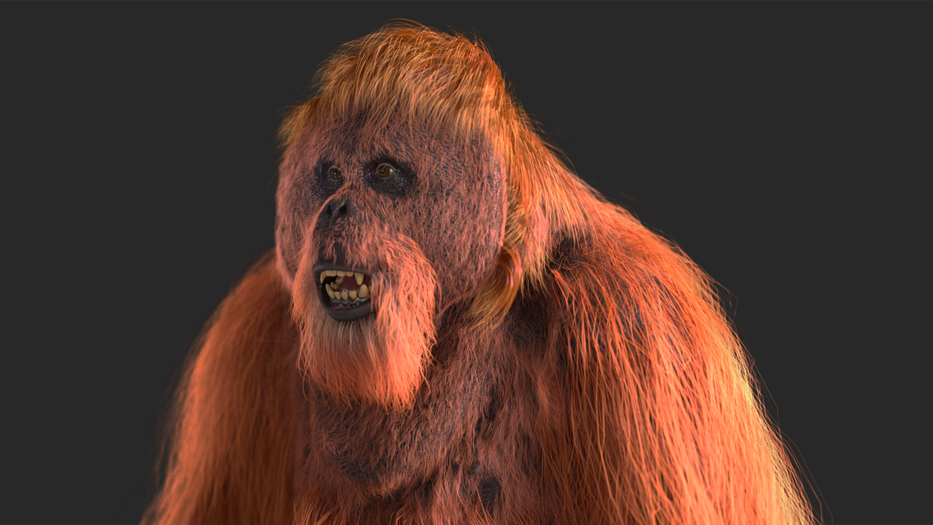 3D model Male Orangutan T-pose Fur