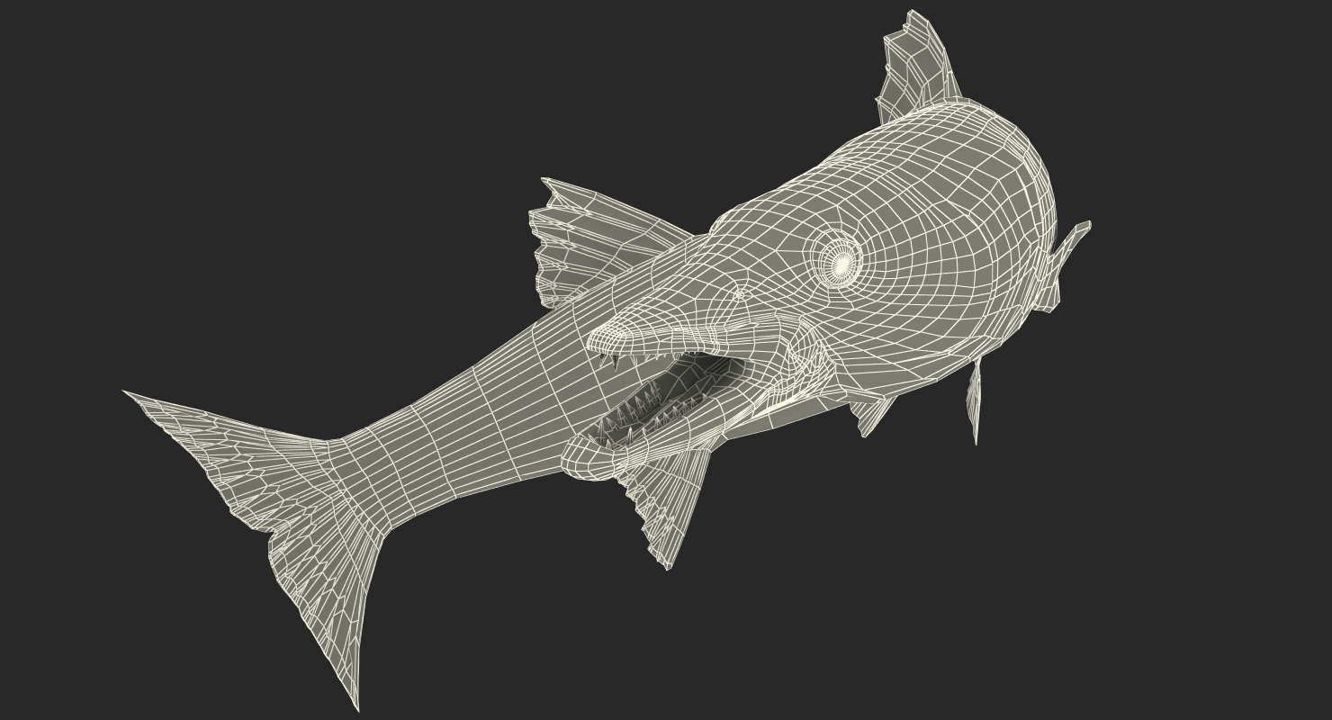 3D Barracuda Fish Pose 3