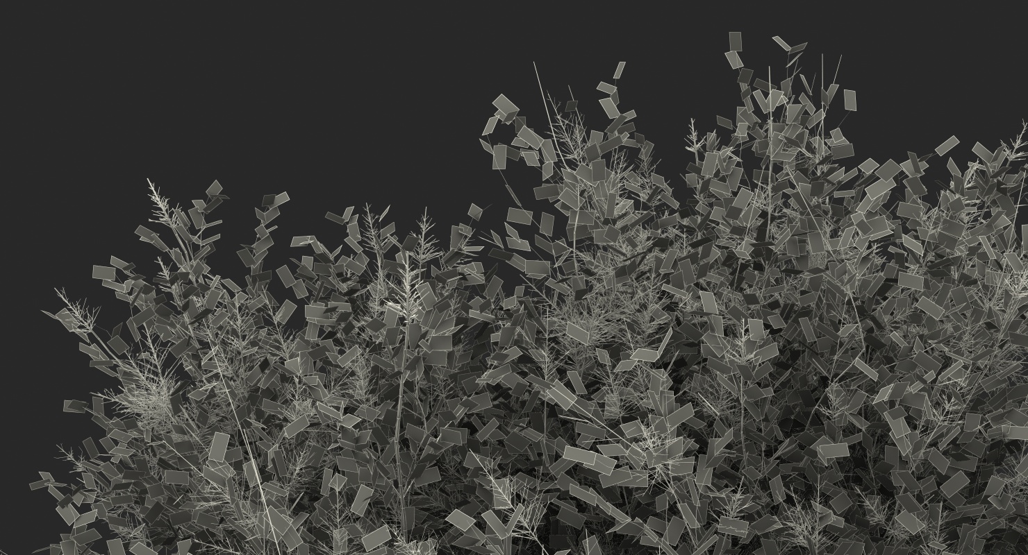 3D model Big Bush