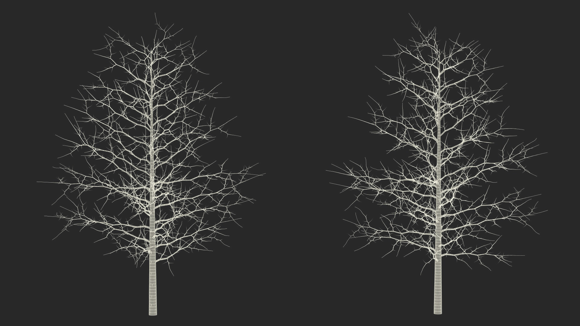 3D model Winter Bare Oak Tree