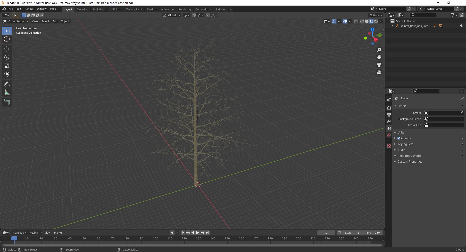 3D model Winter Bare Oak Tree