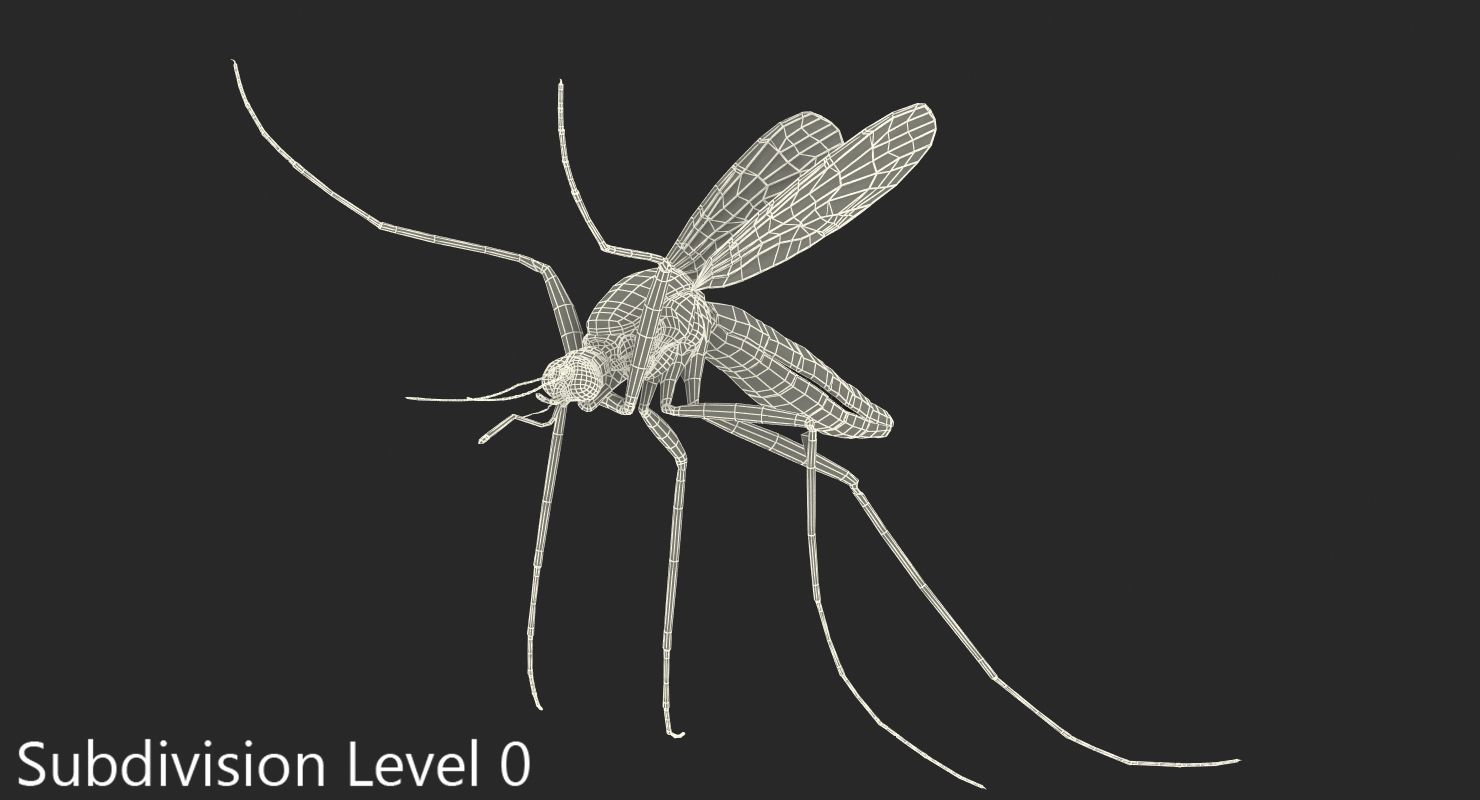 Mosquito Pose 4 with Fur 3D model