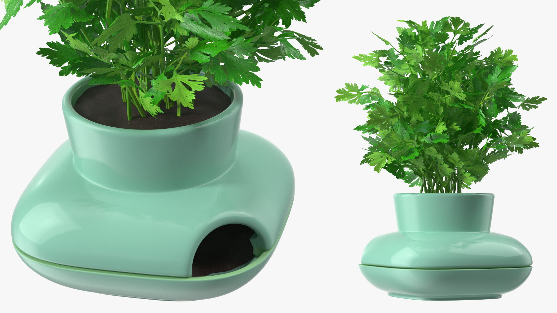 Stoneware Single Herb Pot Green with Parsley 3D model