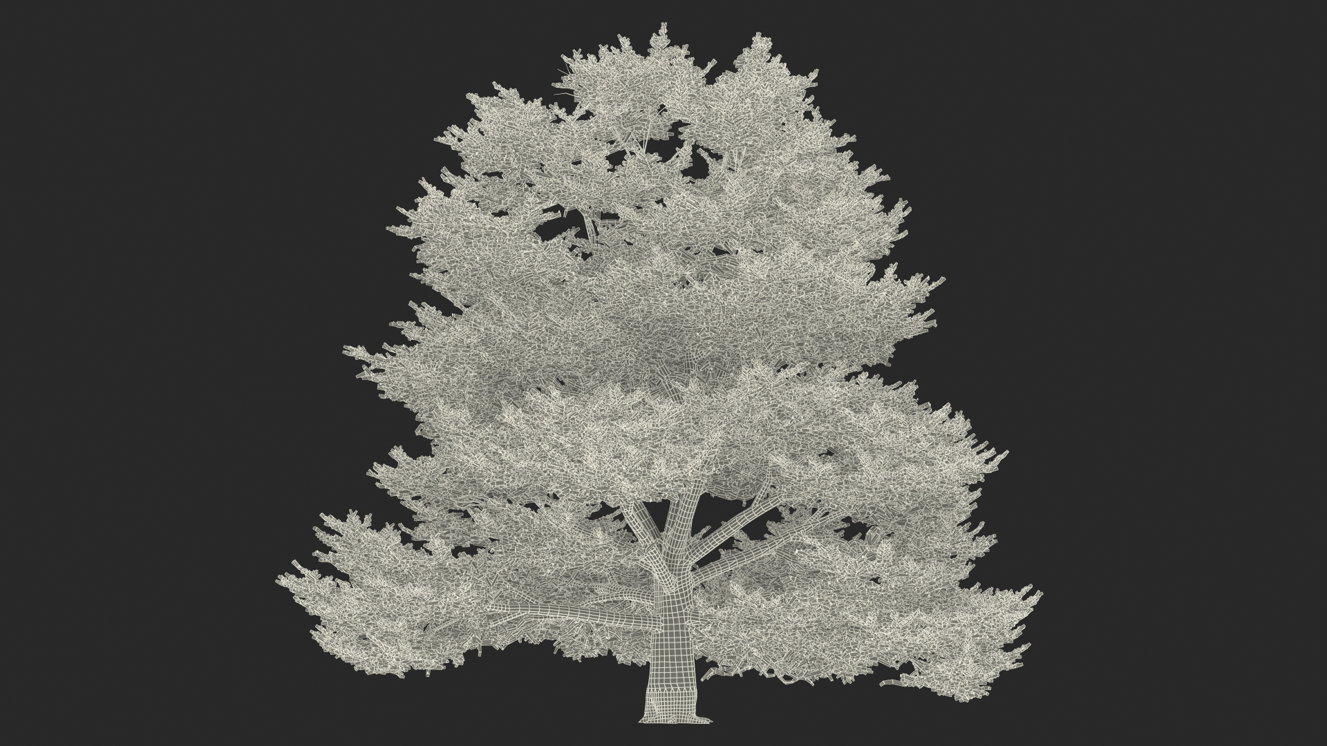 3D Cedrus Libani Big Green Tree model