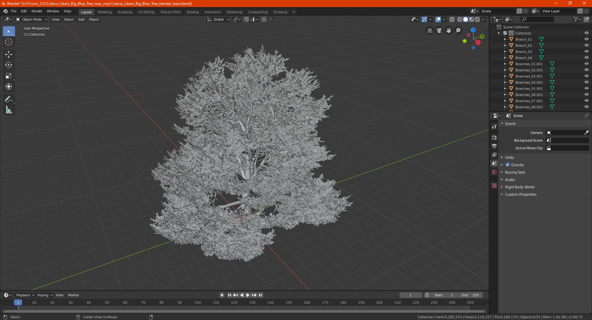 3D Cedrus Libani Big Green Tree model