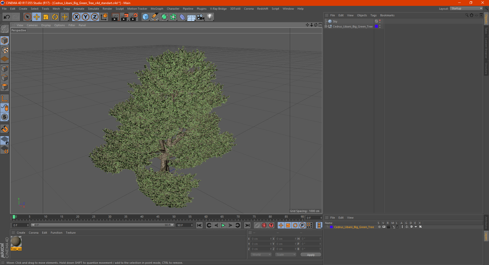 3D Cedrus Libani Big Green Tree model