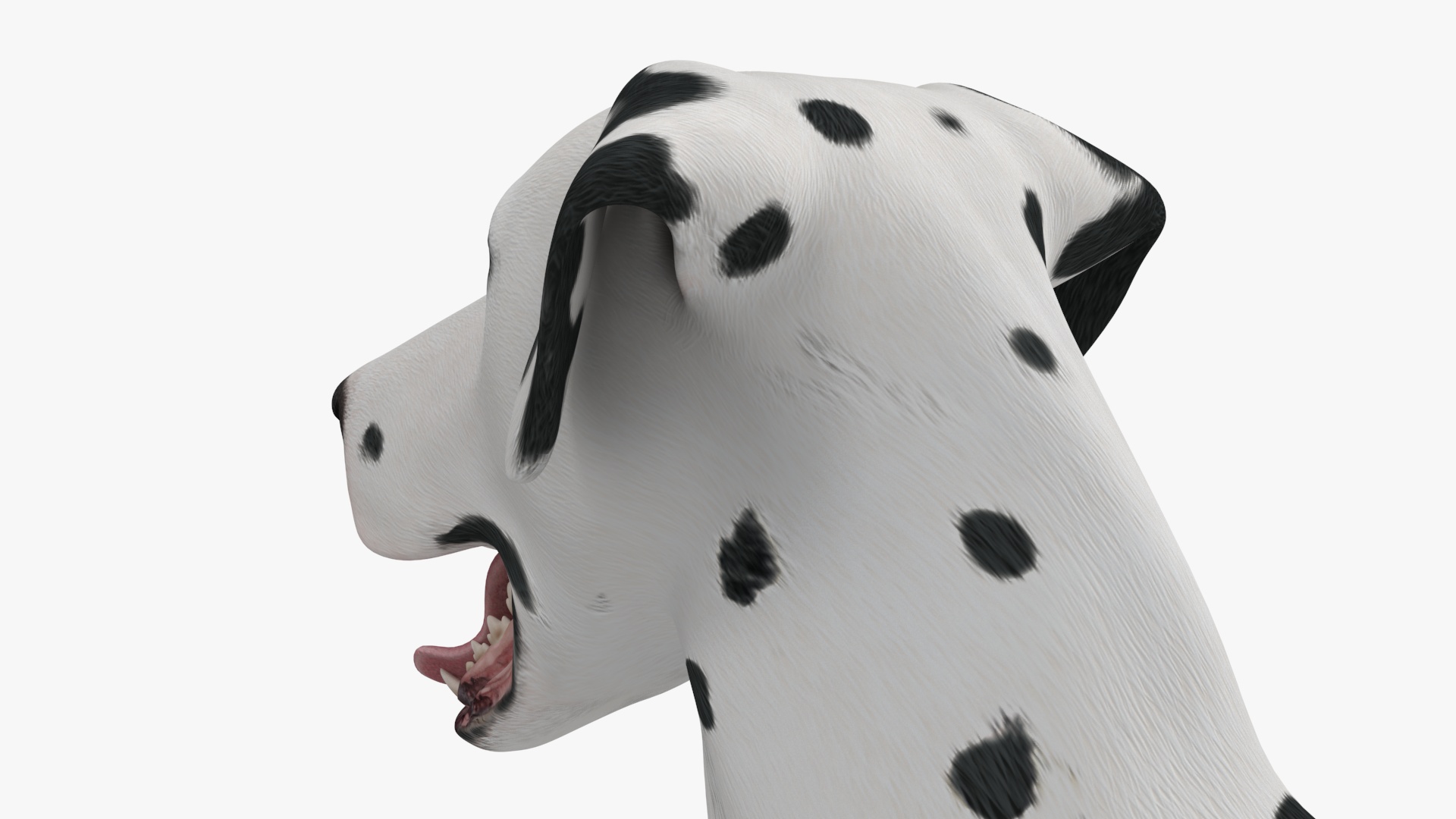 Lying Dalmatian Dog 3D model