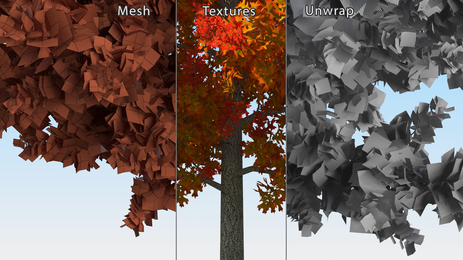 3D model Autumn Oak Tree