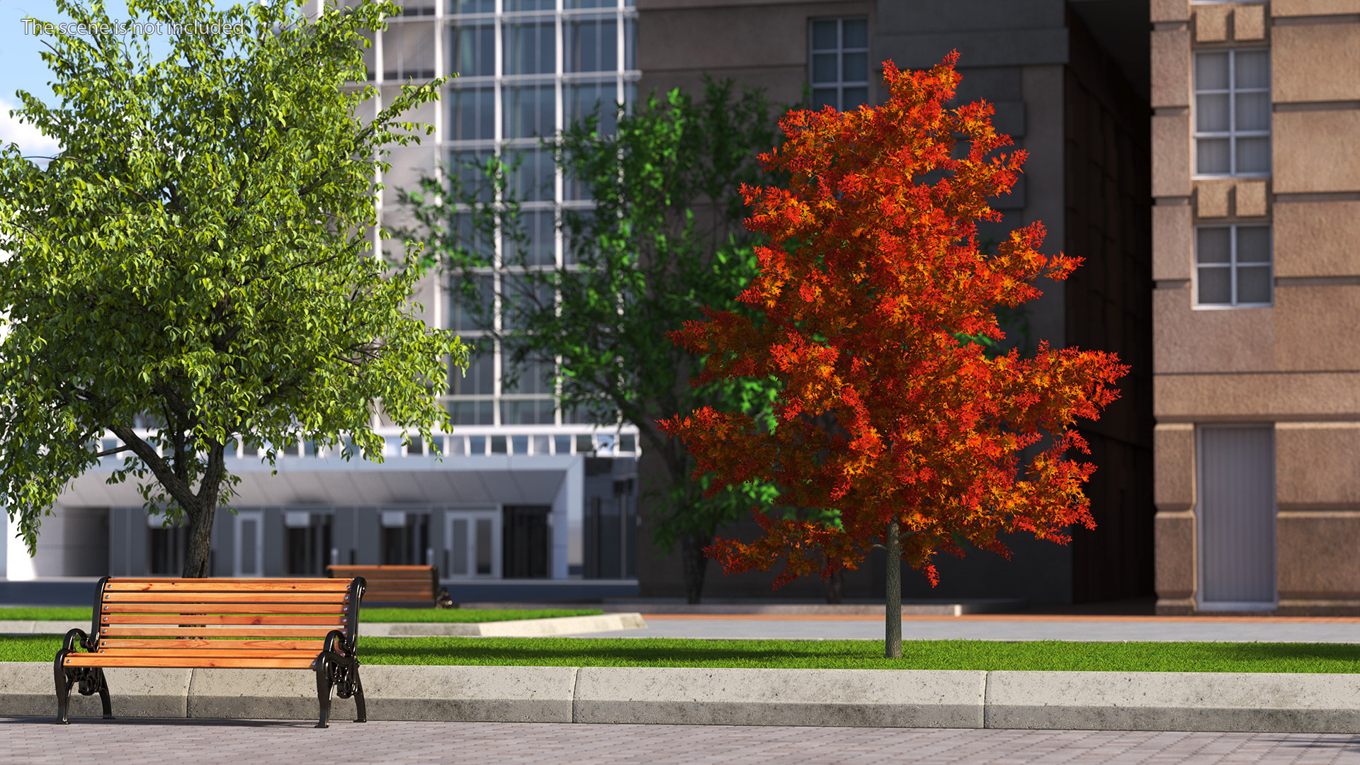 3D model Autumn Oak Tree