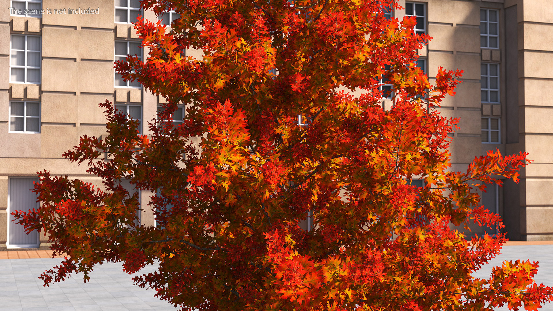 3D model Autumn Oak Tree