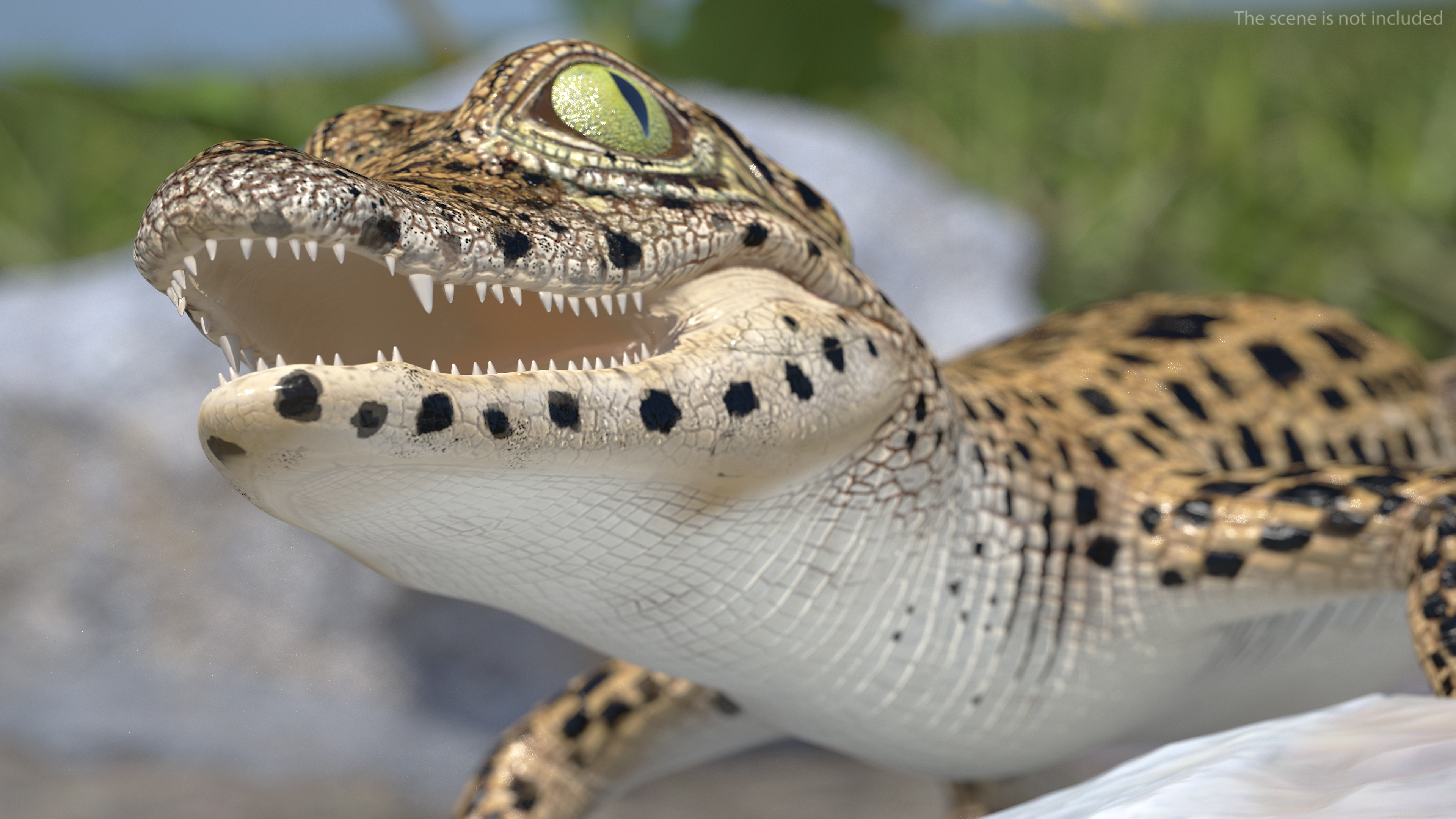 Baby Crocodile Dark Color Rigged 3D