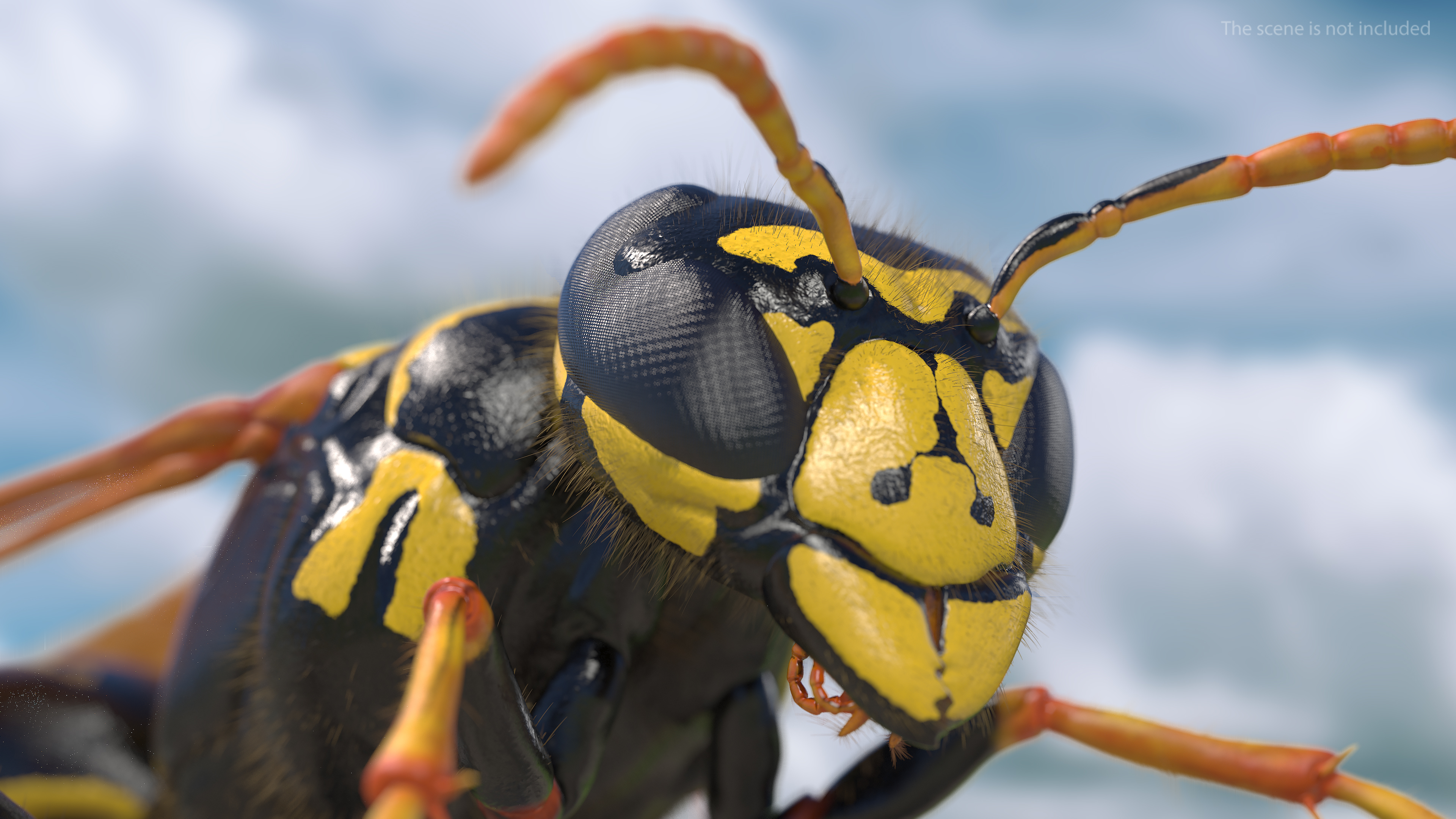 Wasp Standing Pose Fur 3D