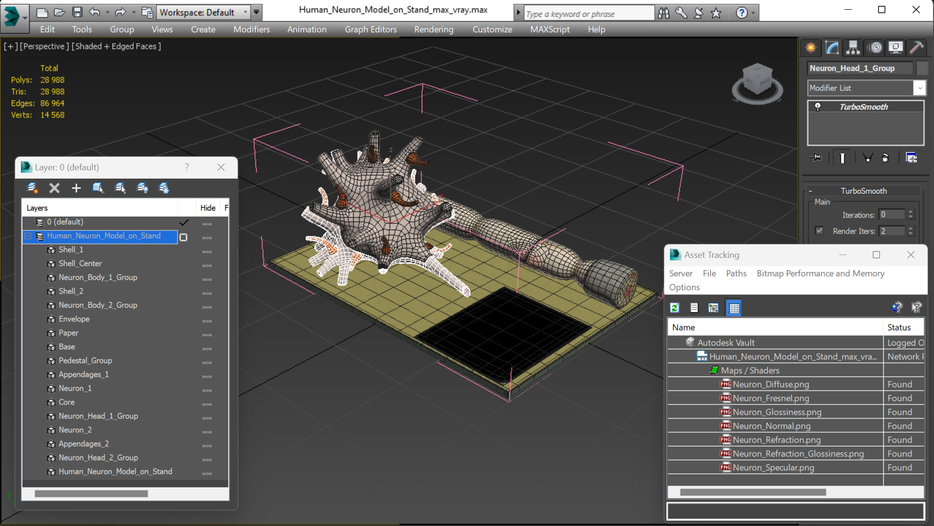 Human Neuron Model on Stand 3D