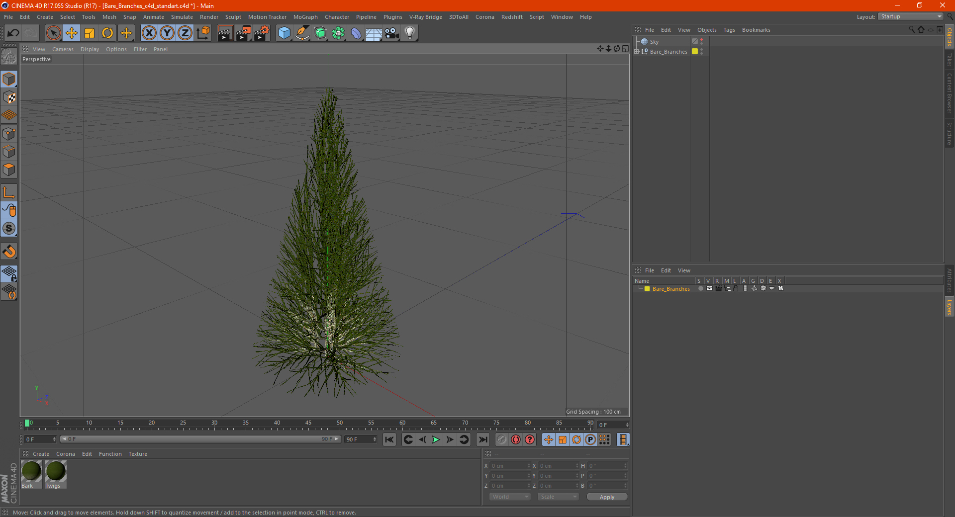 3D Bare Branches model