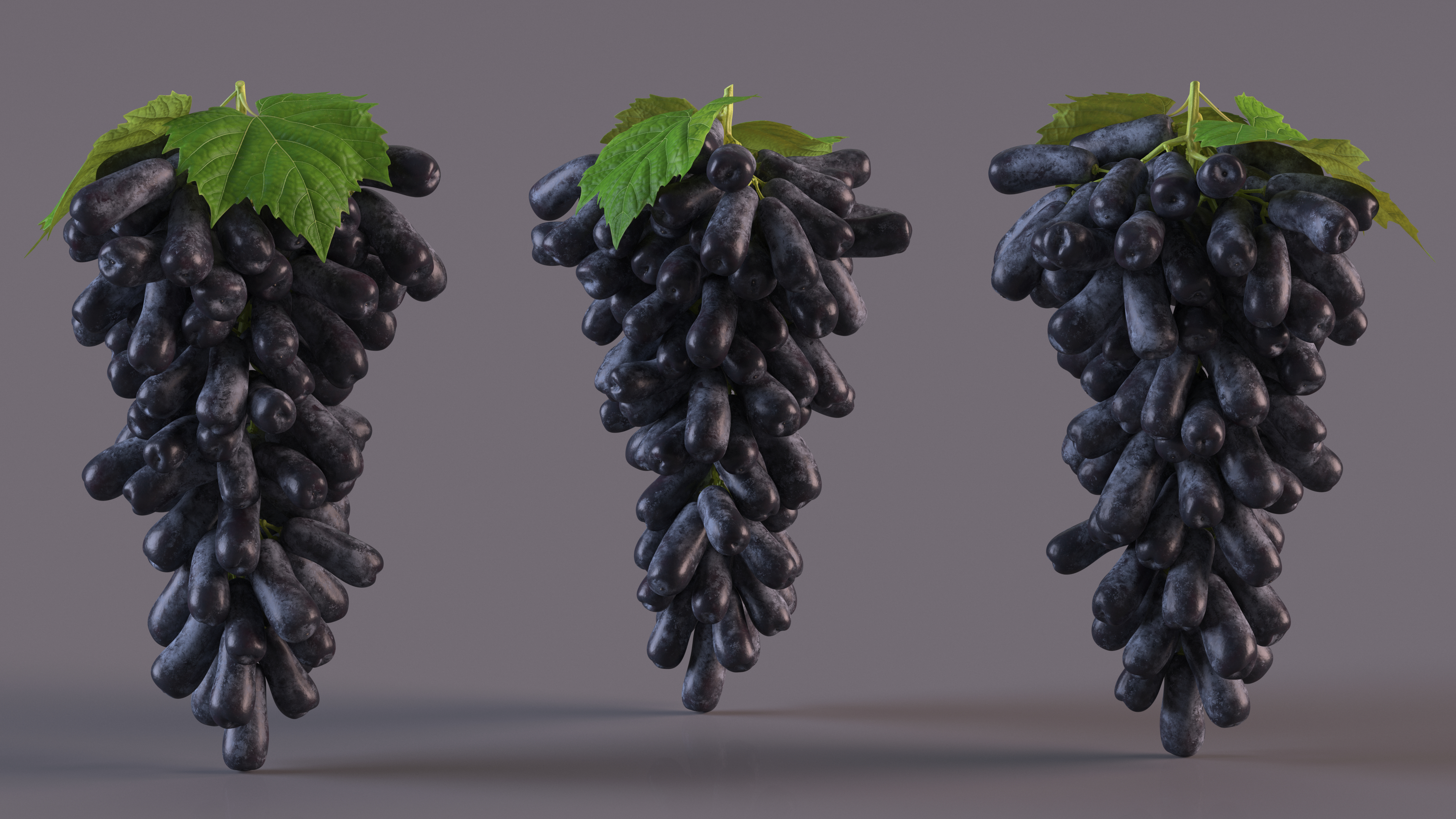 3D Grapes Sweet Sapphire with Leaf