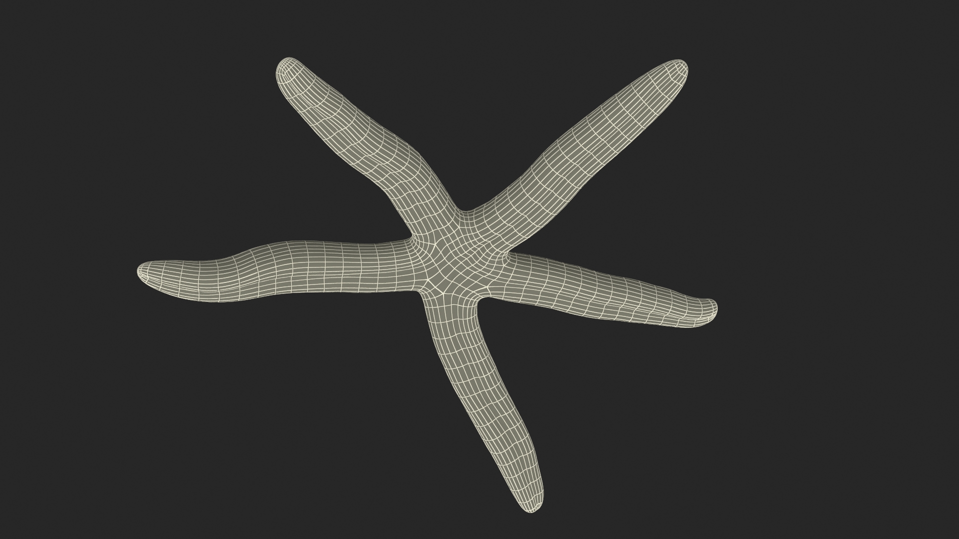 3D Blue Starfish model