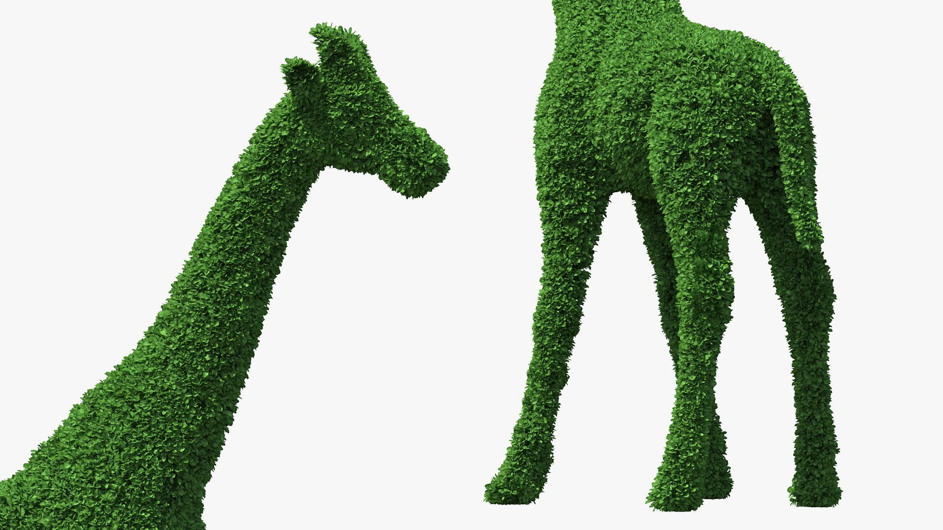 3D Decorative Giraffe Topiary