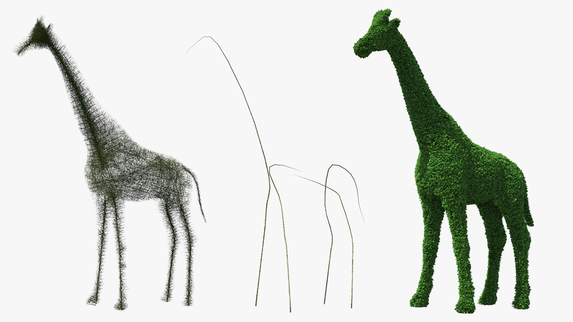 3D Decorative Giraffe Topiary