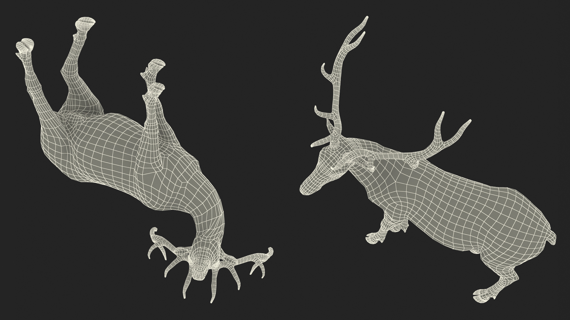 Elk Standing Pose 3D