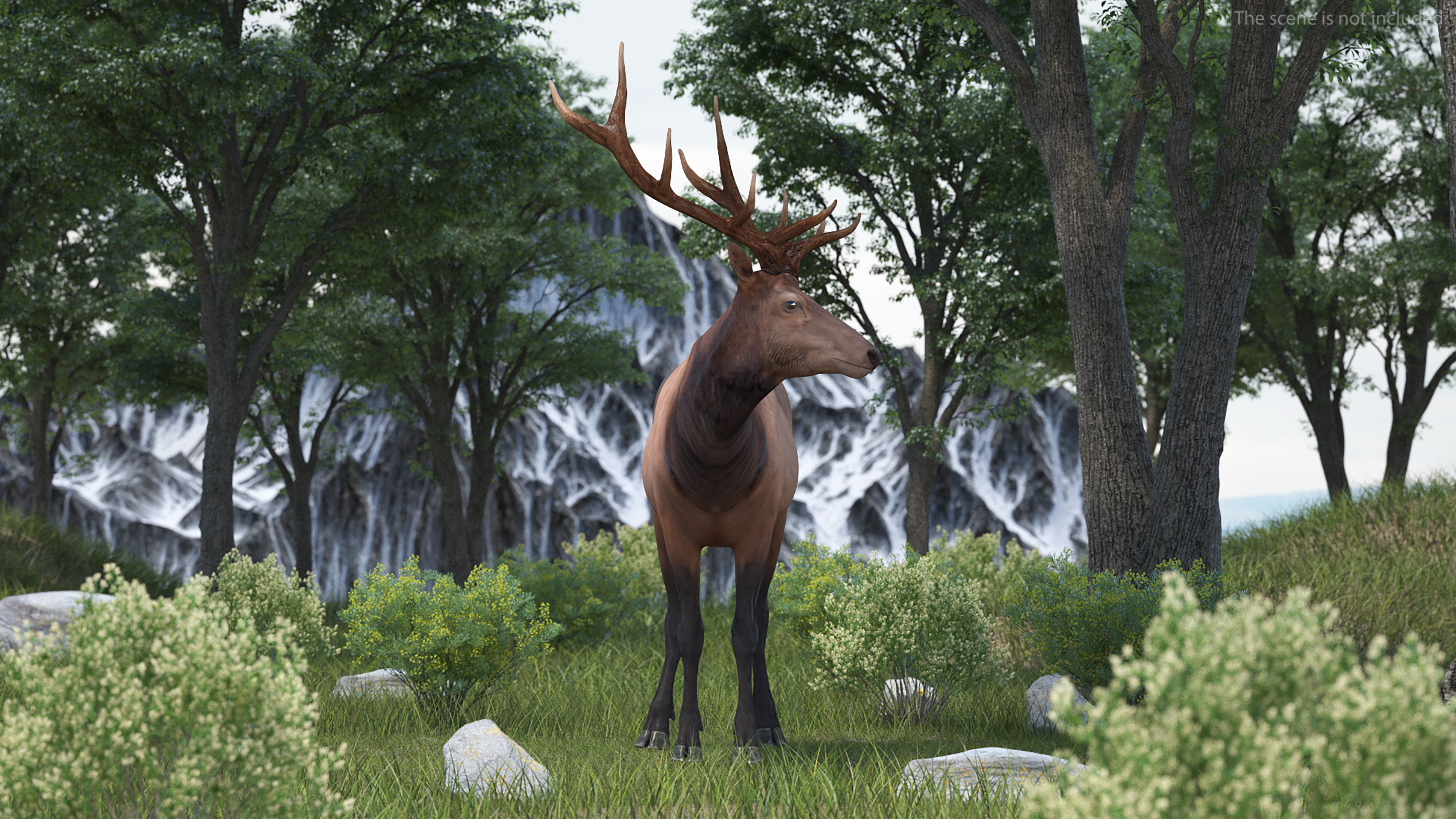 Elk Standing Pose 3D