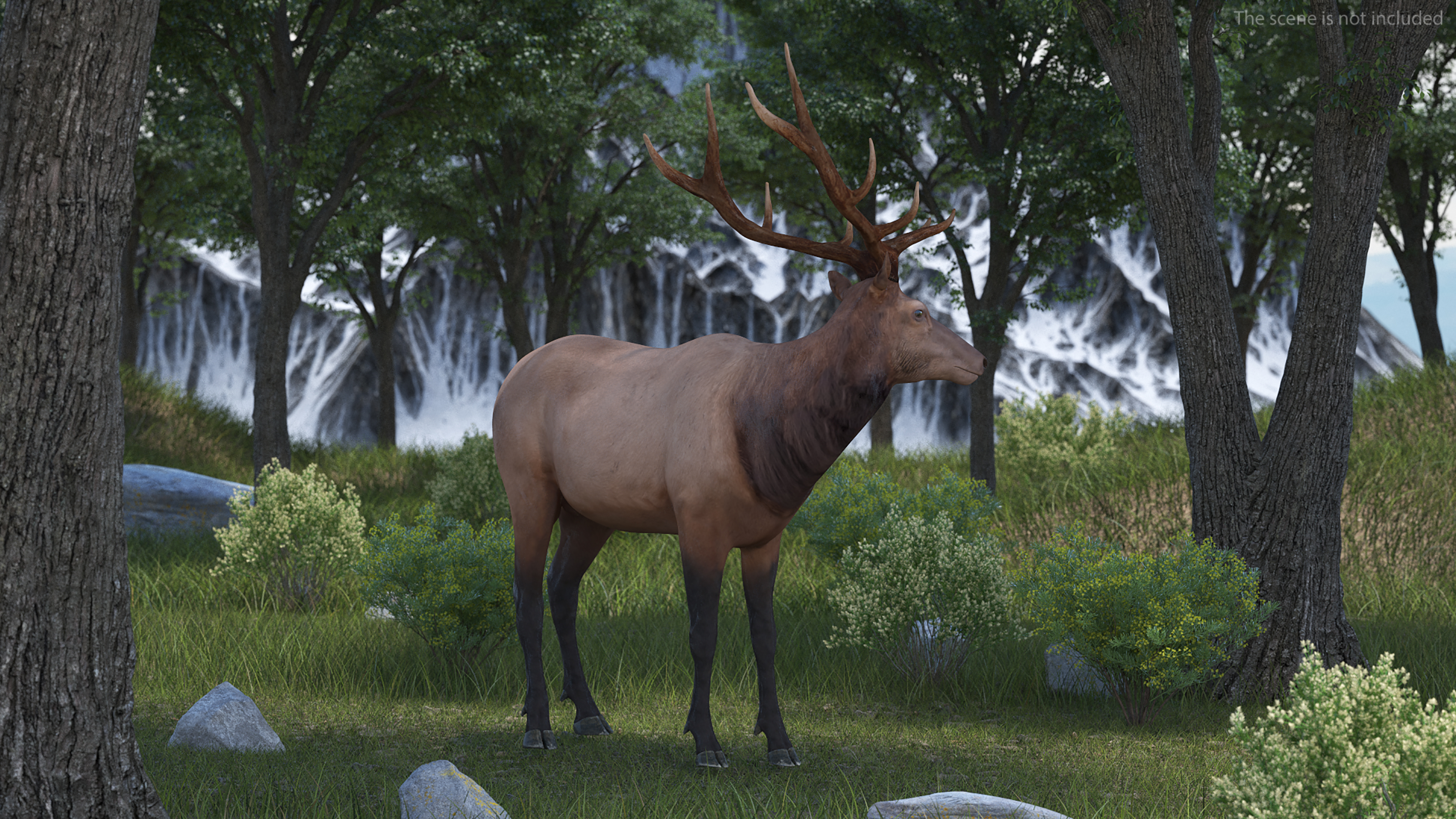 Elk Standing Pose 3D