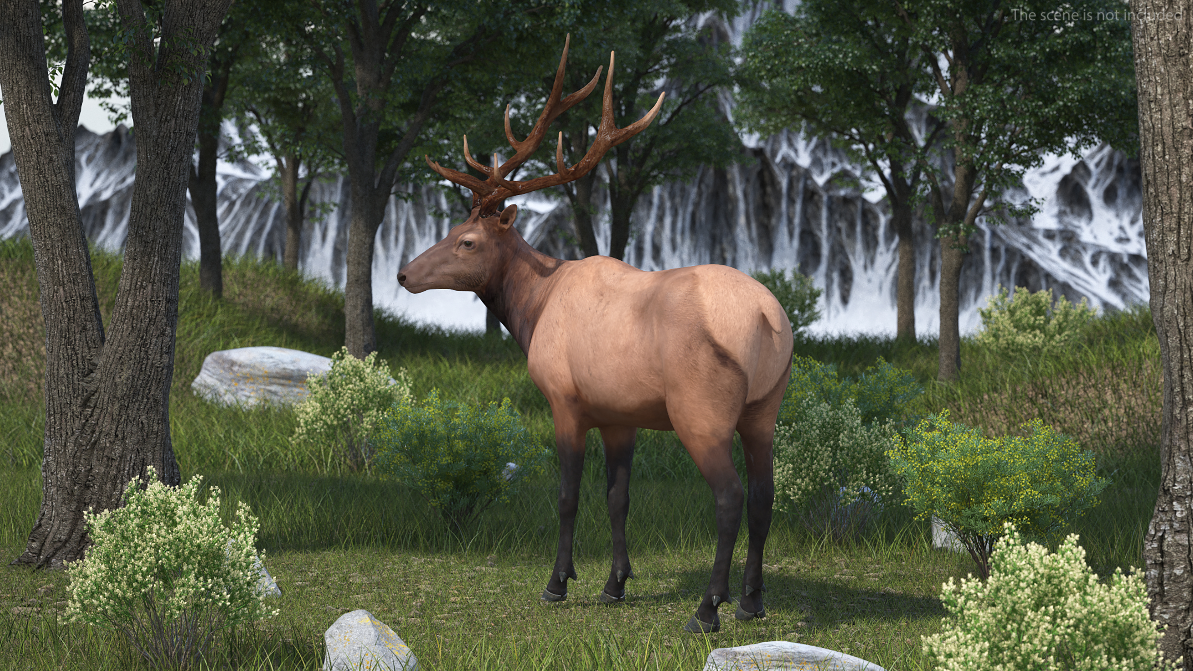 Elk Standing Pose 3D