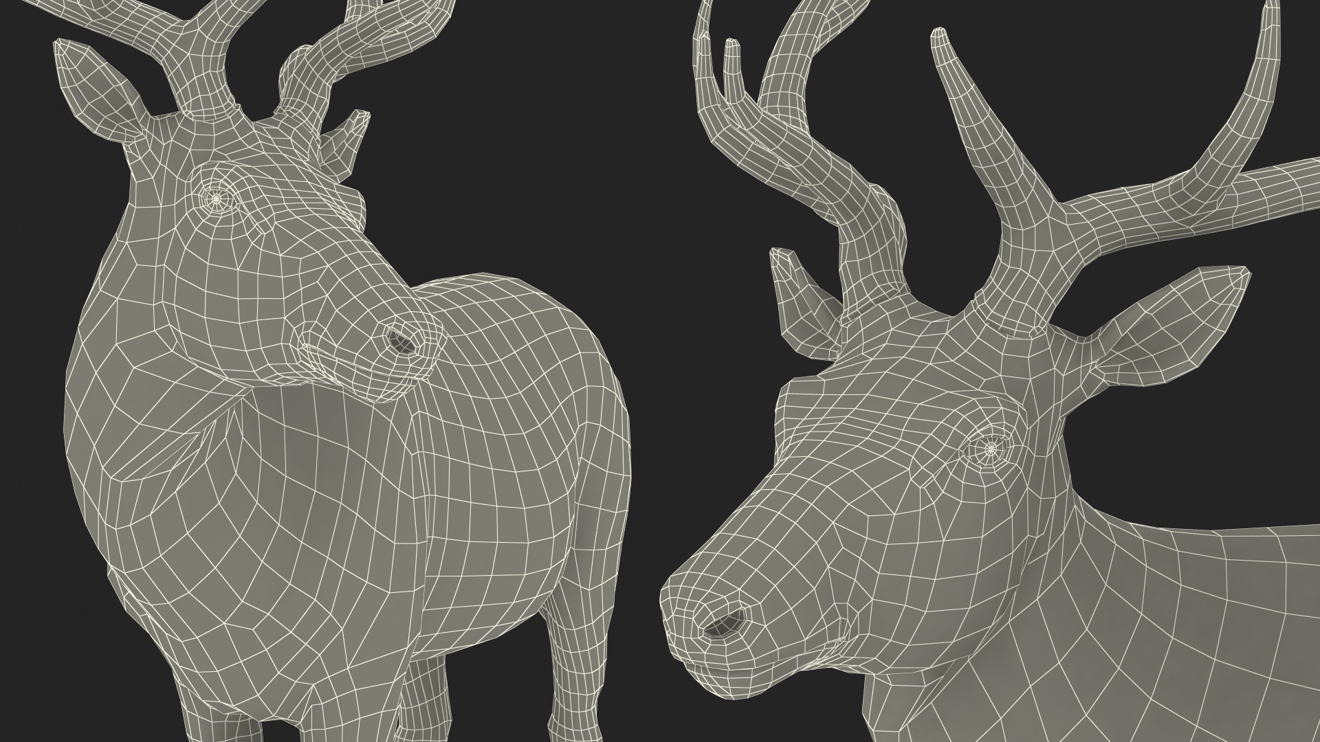 Elk Standing Pose 3D