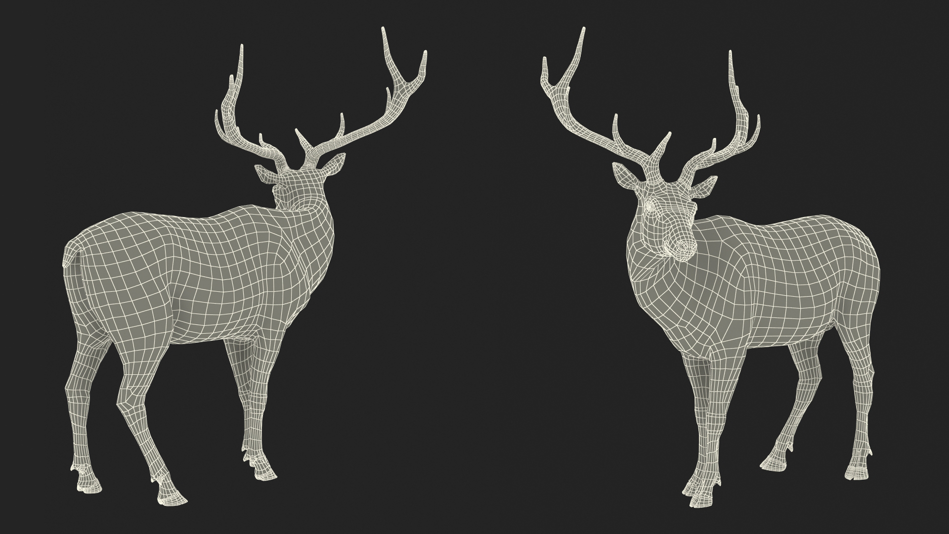 Elk Standing Pose 3D