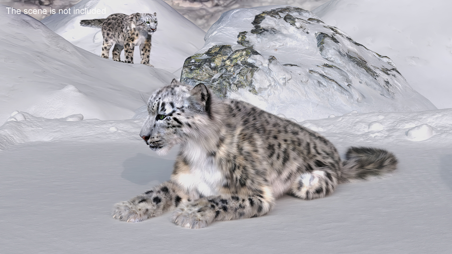 3D Snow Leopard Fur Rigged model