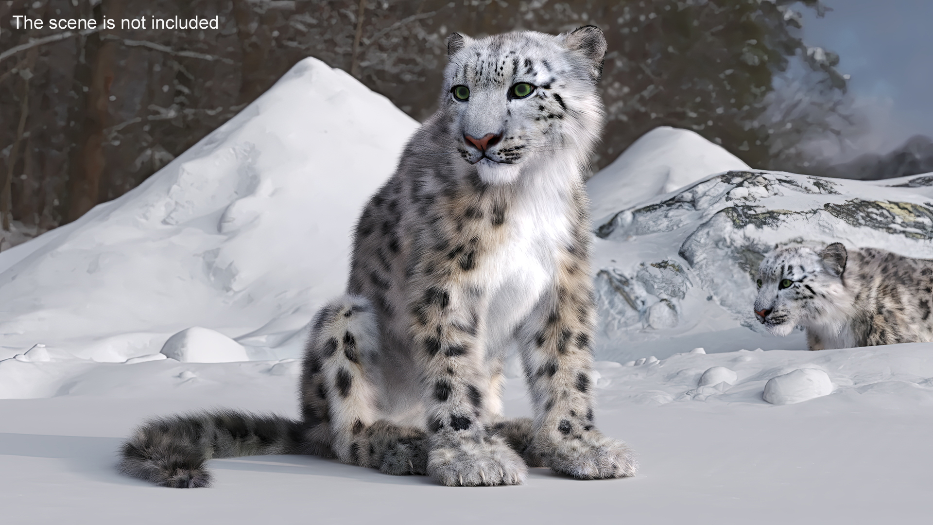 3D Snow Leopard Fur Rigged model