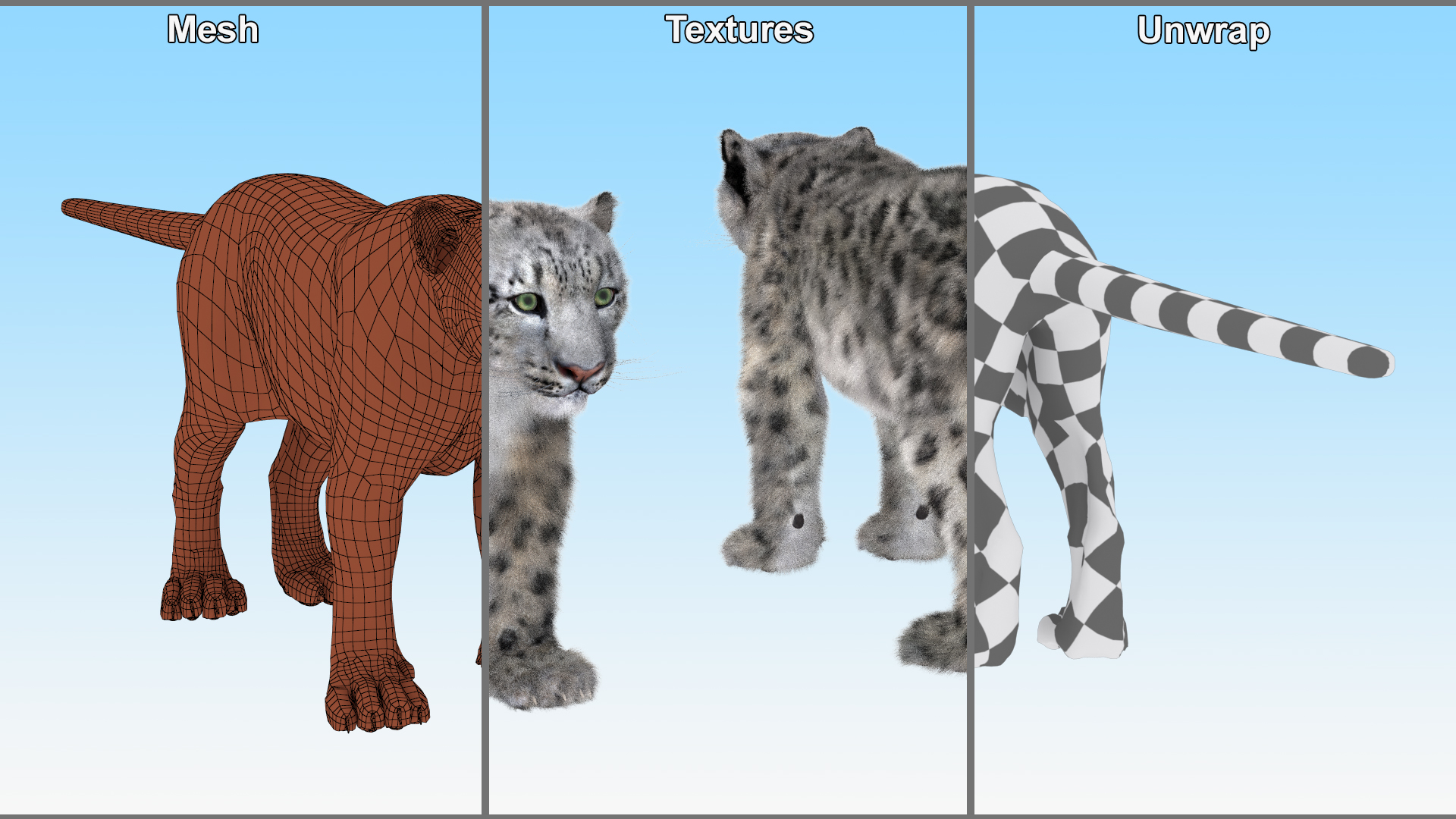 3D Snow Leopard Fur Rigged model