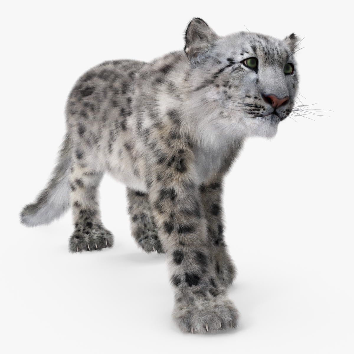 3D Snow Leopard Fur Rigged model