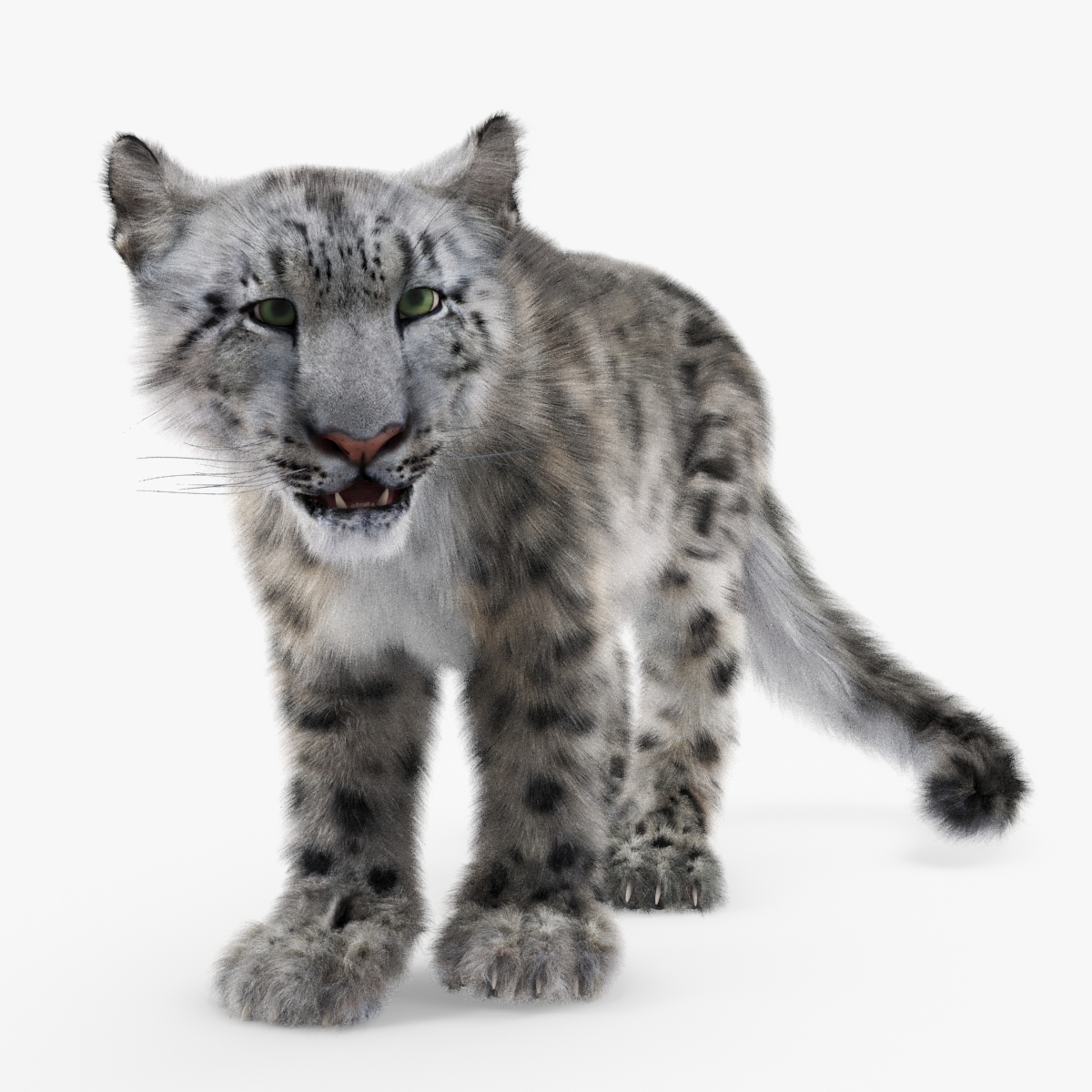 3D Snow Leopard Fur Rigged model