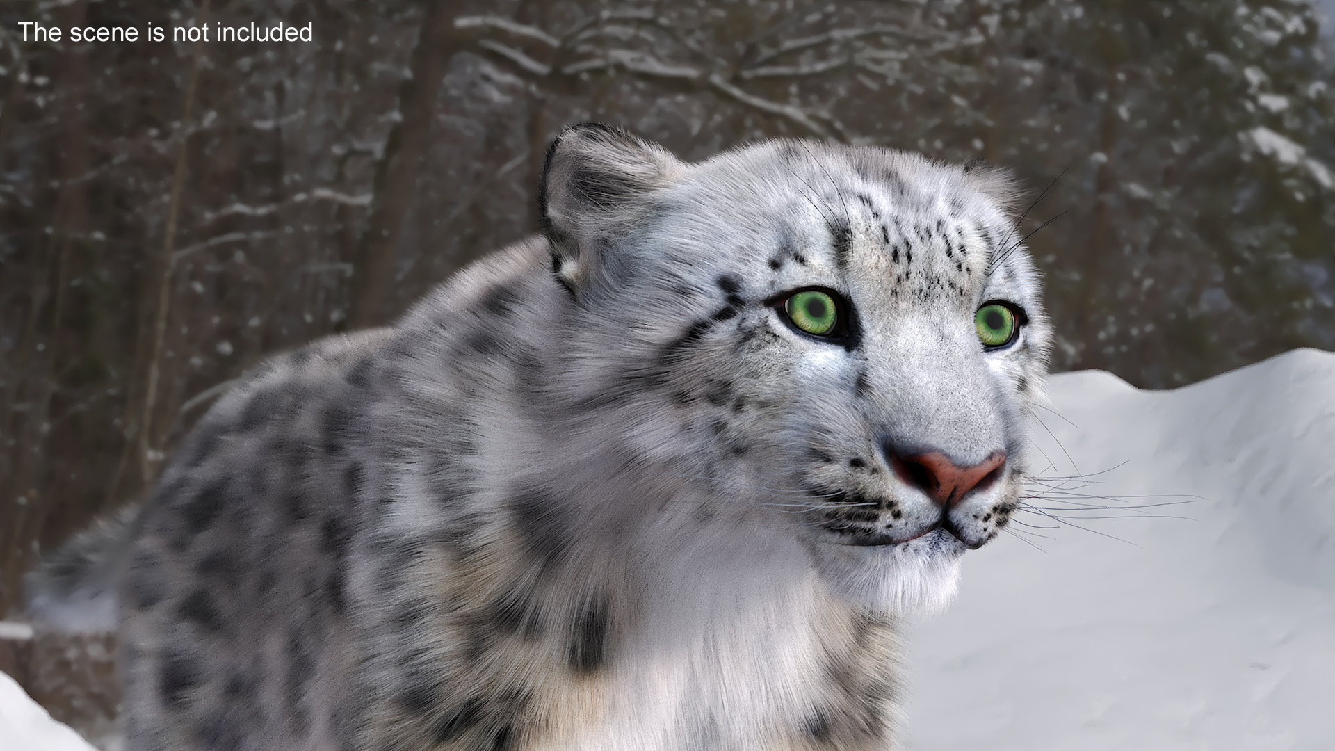 3D Snow Leopard Fur Rigged model