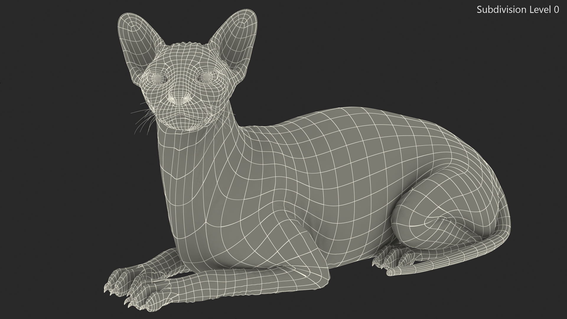 Sphynx Cat Black Lying Pose 3D