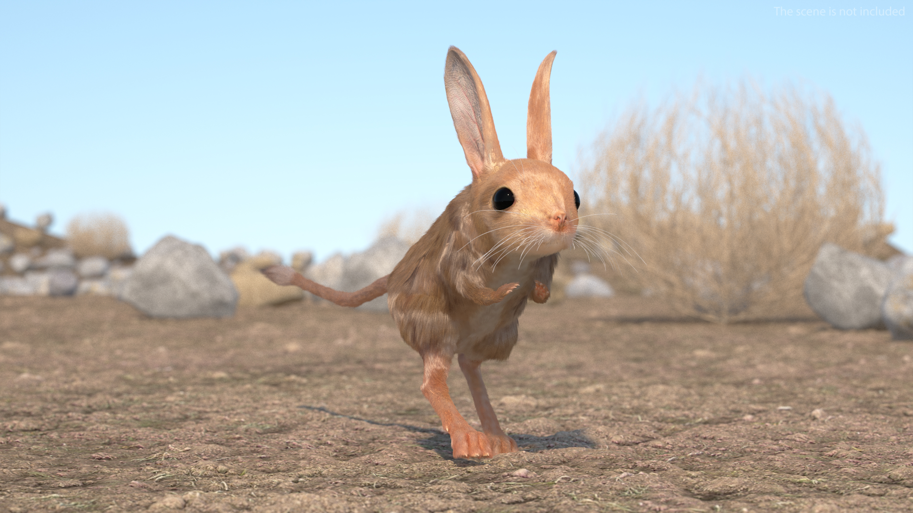 Jerboa Rigged Fur 3D